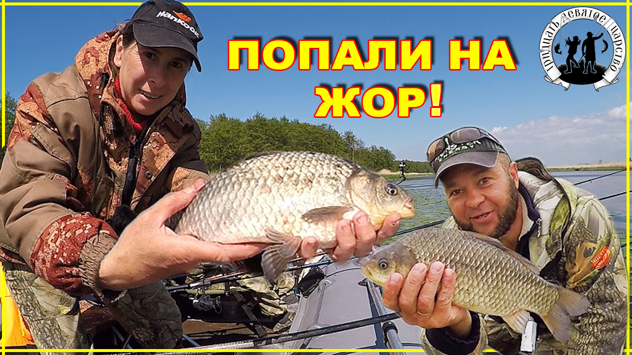 Вот это рыбалка! Попали на жор карася. Летняя рыбалка на поплавочную снасть.