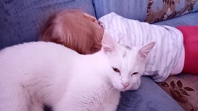 Мотивация на глажку белья /Готовка