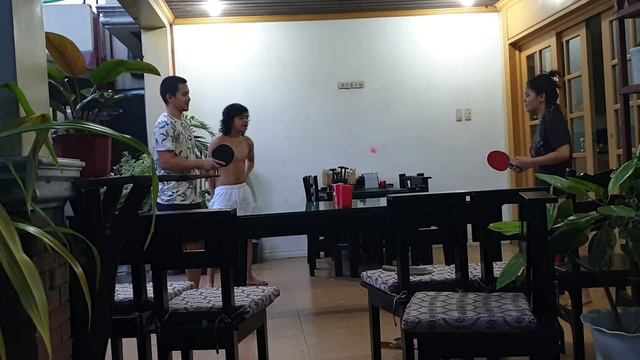 SUNDAY FAMILY FUN DAYBRASIL AND LEMON LIMETHE SECRET FOR LIVELY COLORS AND VARIEGATION