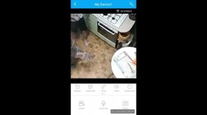 Видеокамера для видеонаблюдения "рыбий глаз" : увидит всё!