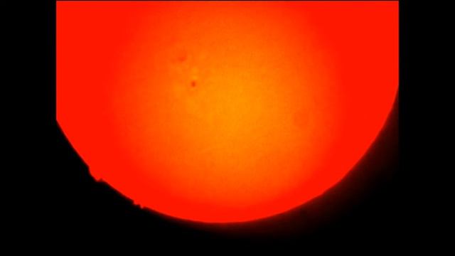 PST Coronado Sol Sun смотреть онлайн