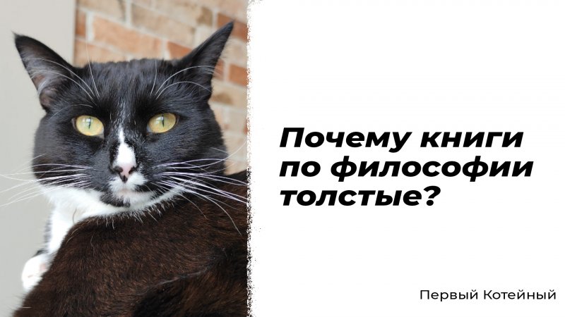 Почему книги по философии толстые? ?