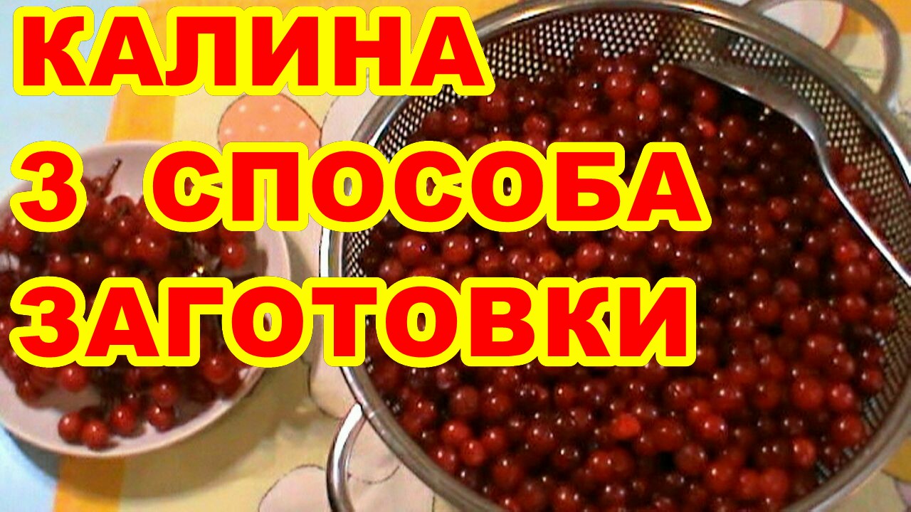 КАЛИНА ! 3 ПРОСТЫХ И БЫСТРЫХ СПОСОБА ЗАГОТОВКИ И ХРАНЕНИЯ КАЛИНЫ  !