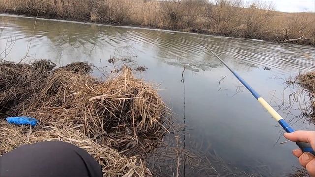 Весенняя ловля уклейки!