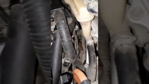 Стук двигателя приус 20