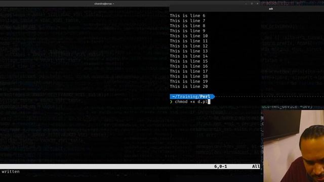 Perl 5 Fundamentals: Learn how to implement filters in Perl using the diamond operator. смотреть онлайн