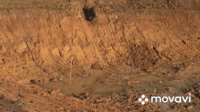 СВОЙ ПРУД ГОТОВ! ПРУД. Сколько стоит пруд? Как удешевить? Долго копать пруд? Какая глубина?
