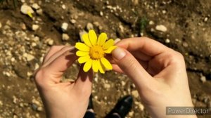 мелодия дождя - бетховен на пианино