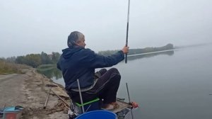 Уклейка осенью на мах.