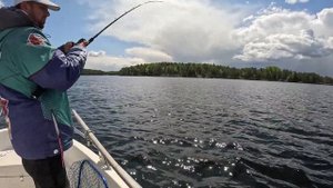 Ловля джерками на глубинах или раздача крупной щуки. Strike Pro Buster Jerk Sinking (Тонущий)