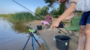 БЕШЕНЫЙ КЛЁВ. ТЕМПОВАЯ РЫБАЛКА НЕКРУПНОГО ПОДЛЕЩИКА.mp4