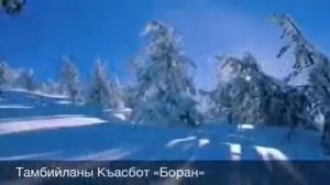 Къасбот Тамбиев  «Боран»