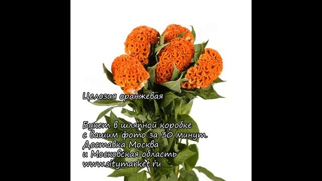 Целозия букет цветов недорого с доставкой Москва в шляпной коробке с вашим фото. смотреть онлайн