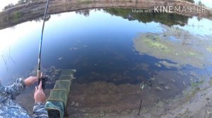 Рыбалка в Тамбовской области.