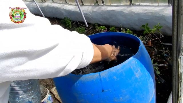 ЗАСУХА!!! Будет ли расти картофель в сухой почве? Какие новые агроприемы помогут вырастить картошку смотреть онлайн