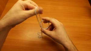 Focus Puzzle - Ring and Chain - Фокус-Головоломка - Кольцо и цепочка