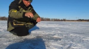 Спортивная ловля леща на мормышку зимой