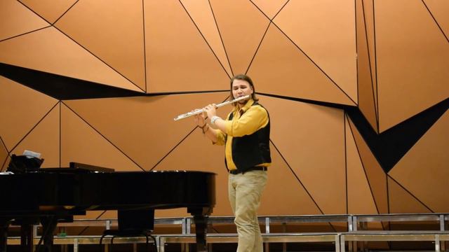 Devienne: e moll koncert 1 tétel смотреть онлайн