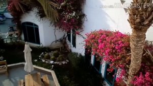 Falcon Hill Hotel, Старый Шарм