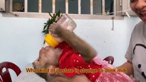 The strong baby monkey Lyly made a great effort to carry a large milk carton to help her mother