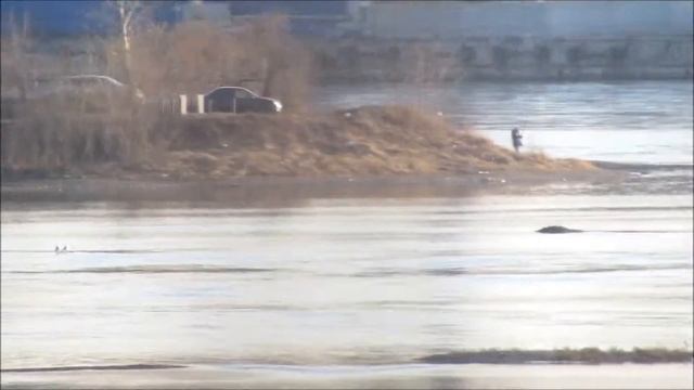 Возможности оптического зума. Optical Zoom смотреть онлайн