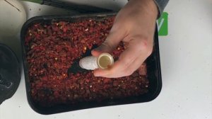 Карпфишинг TV :: Как сделать ПВА стик для карповой рыбалки