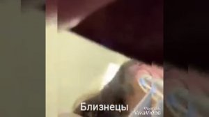 Как чихают знаки зодиака
