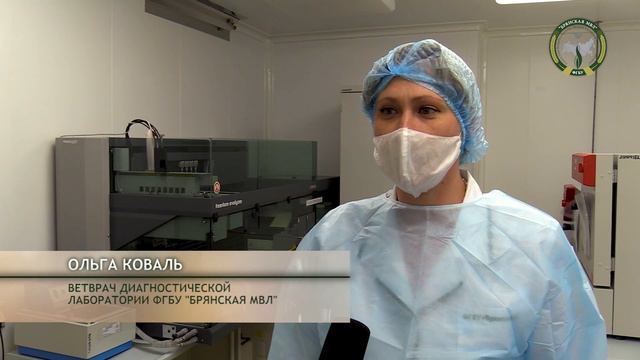 Была ли вакцинация птицы эффективной?