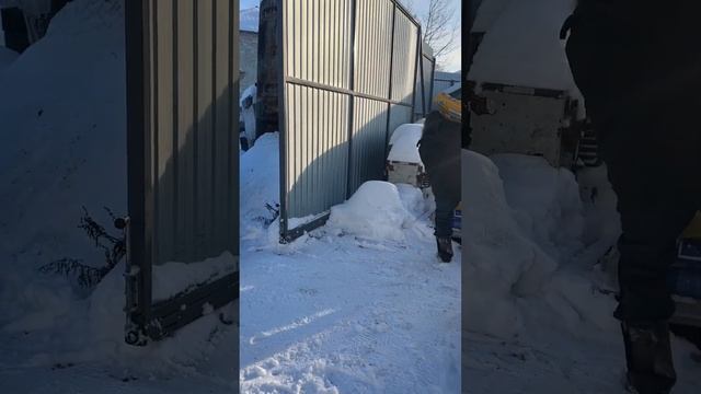 Получаем корм ? смотреть онлайн