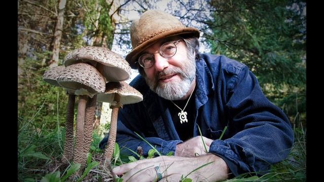 Paul Stamets talk @ Envision 2020 смотреть онлайн