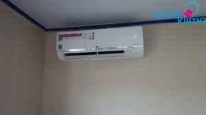 LG Standard Plus 2020