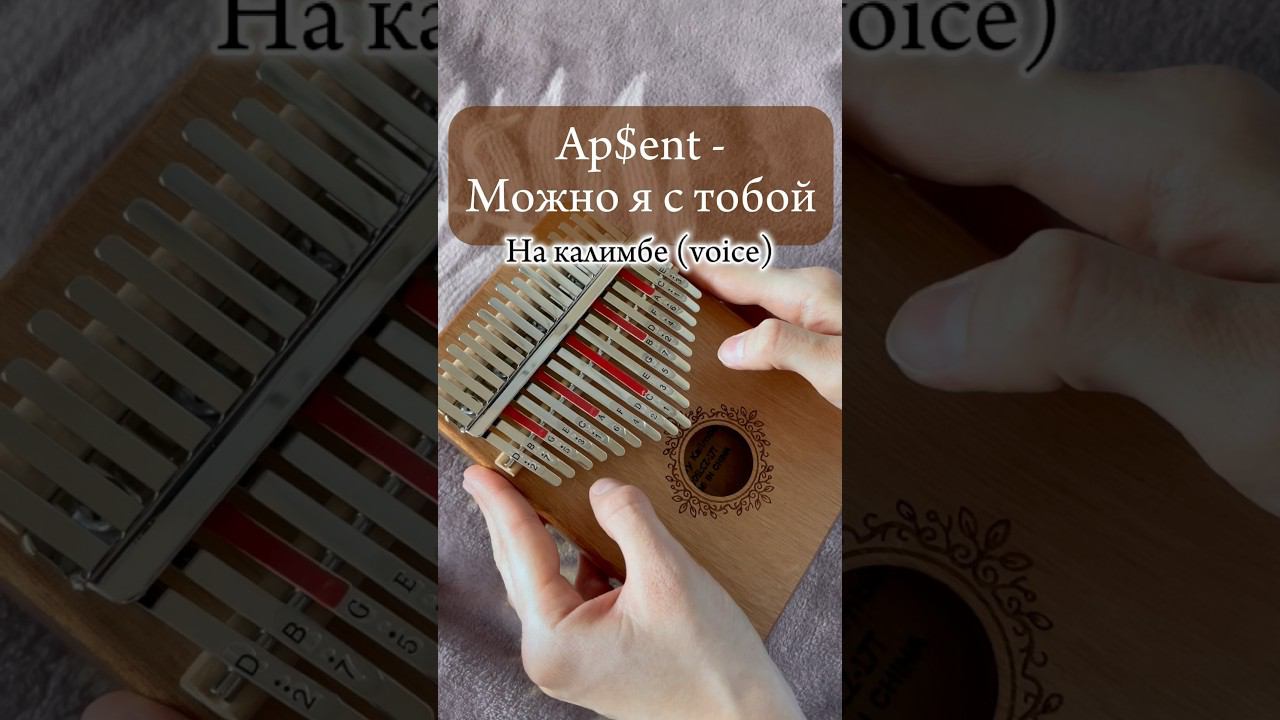 Ap$ent - Можно я с тобой ЗАКАЗАТЬ КАЛИМБУ-В ОПИСАНИИ #cover #kalimba #табы #разбор #voice смотреть онлайн