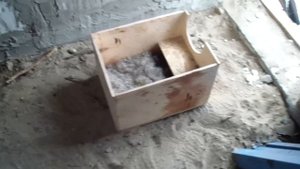 Крольчата обгрызают друг у друга шерсть. Что с этим делать?