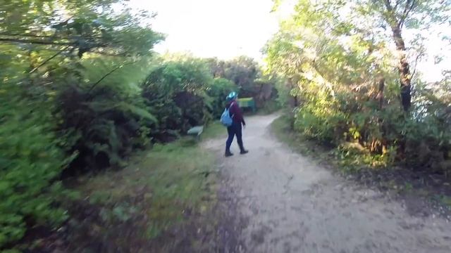 ABEL TASMAN NATIONAL PARK | NEW ZEALAND | July 2018 смотреть онлайн