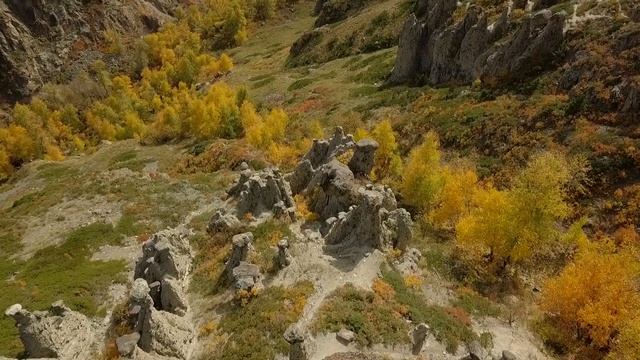 Каменные грибы. Долина Чулышмана. Горный Алтай золотая осень