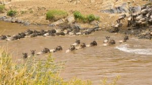 4K African Wildlife: Tarangire National Park, Tanzania - Scenic Wildlife Film With Real Sounds