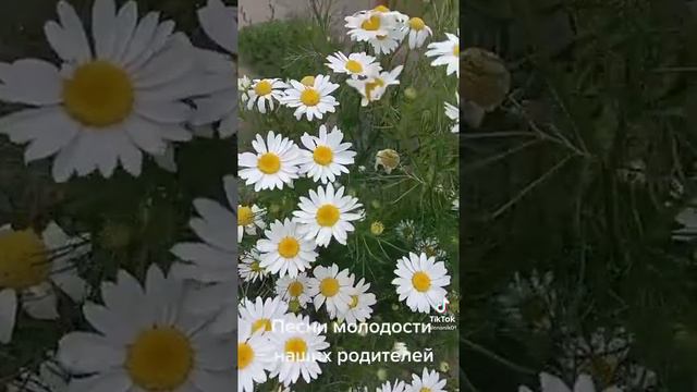 Детство прошло