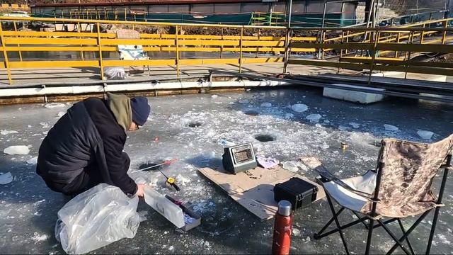 Рыбалка на форель со льда.  нашел крупняк. смотреть онлайн