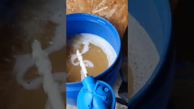 фильтрация вина сорт Первенец магарача
