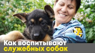 Питомник служебного собаководства - ГУФСИН Иркутск