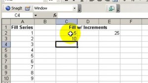 AutoFill Options in MS Excel