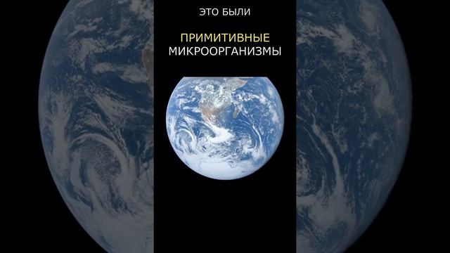 Как появилась жизнь на Земле?