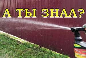ОСТОРОЖНО, КЛЕЩИ! ???Как защитить свой участок, семью и питомцев