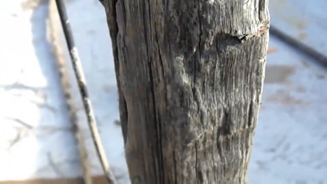 Camara Sony Dsc H100 - Video Test смотреть онлайн