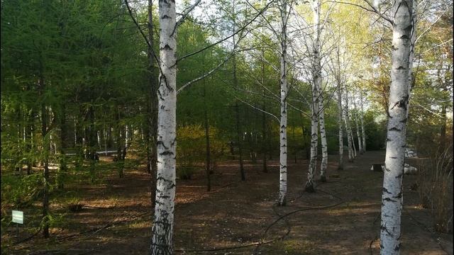 ВОСХИТИТЕЛЬНАЯ РЕАЛЬНОСТЬ...ПАРК САНАТОРИЯ "ВОЛГОГРАД" ( часть 2).