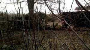 Правильное формирование инжира
