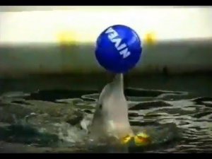 Достопримечательности Болгарии Дельфинарий в Варне The Dolphinarium in Varna