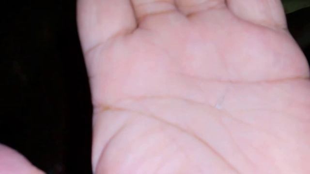 How to Use Menthol Crystal смотреть онлайн