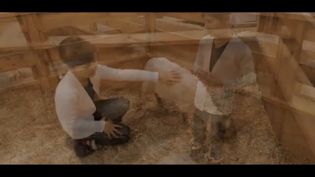 Сити центр зоопарк смотреть онлайн