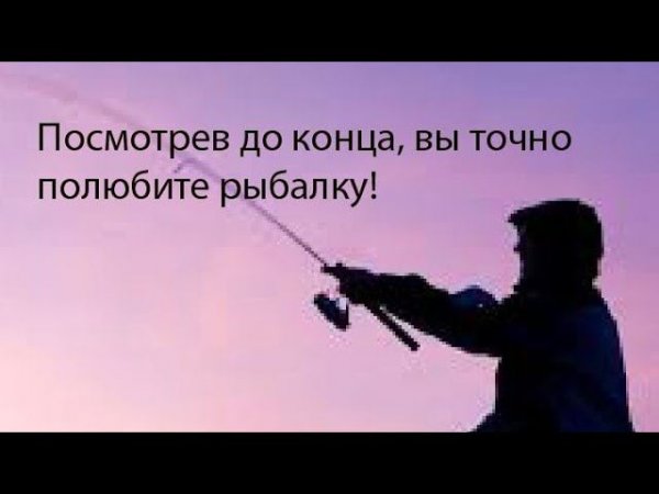 Идеальнее места не может быть! #рыбалка #fishing #shorts #short